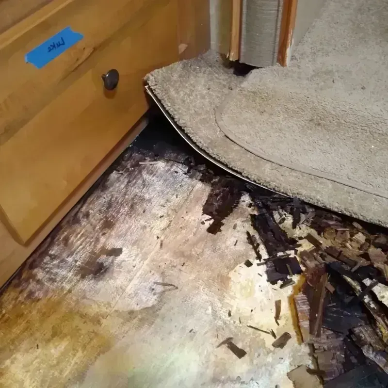 Wood Floor Water Damage in Kalamazoo, MI